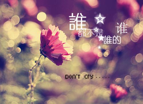 lomo风格唯美鲜花