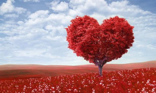 充满爱心的树木