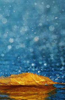 lomo风格唯美雨季