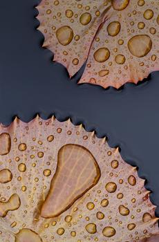 OPPO N3官方壁纸-4