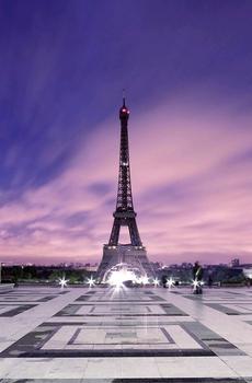 巴黎埃菲尔铁塔唯美-5