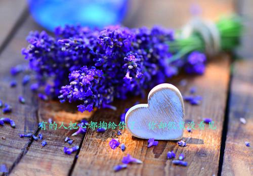 蓝紫色调意境图片