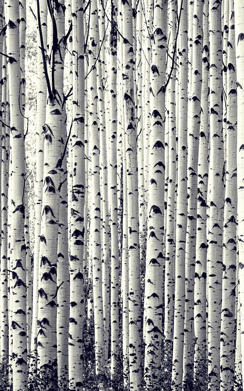 非主流纹理背景图