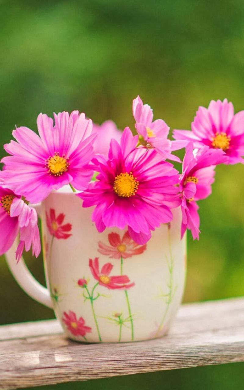 非主流唯美杯具