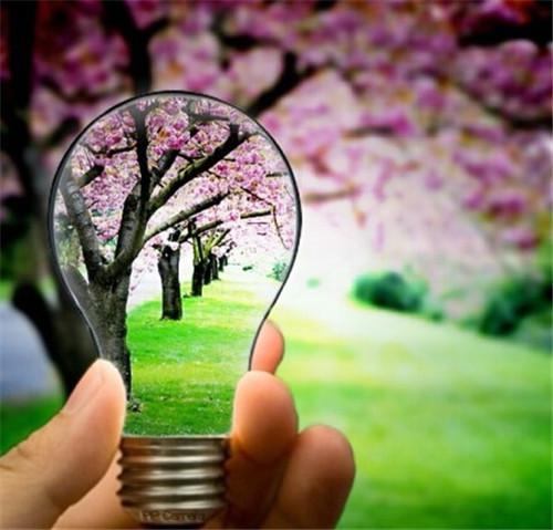 电灯泡里的美丽风景