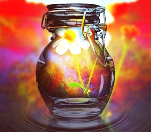 许愿瓶里的美景