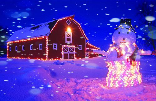 感受雪景的意境美