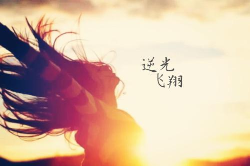 阳光下与你相伴