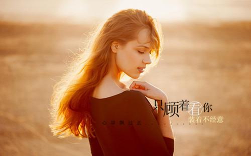 阳光下与你相伴