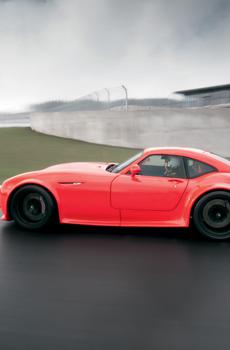 威兹曼GT MF4-CS-2