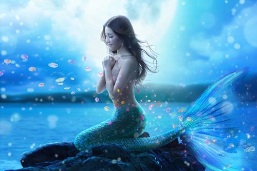 身姿妖娆的鱼美人