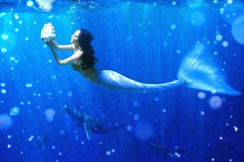 身姿妖娆的鱼美人