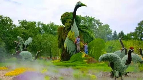 有生机的绿色园林