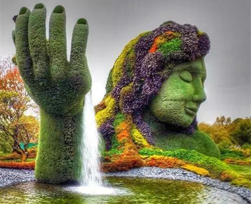 有生机的绿色园林