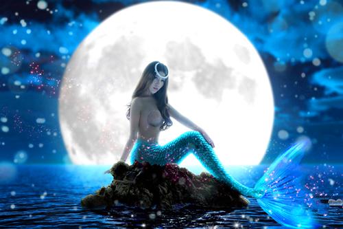 身姿妖娆的鱼美人