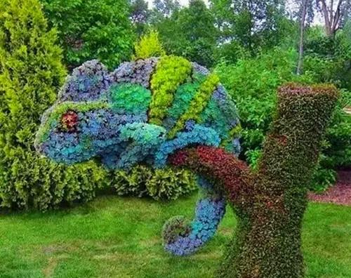 有生机的绿色园林