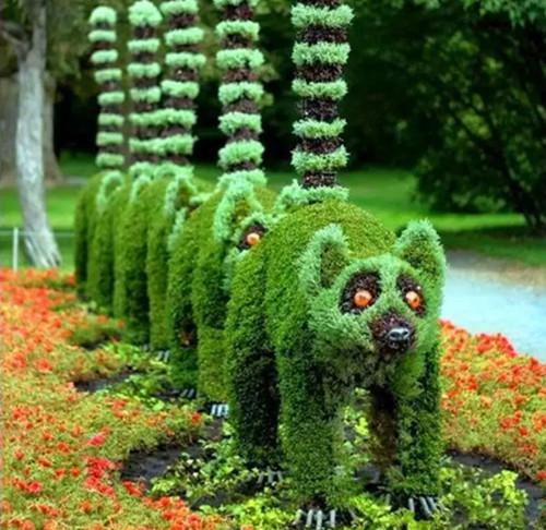 有生机的绿色园林