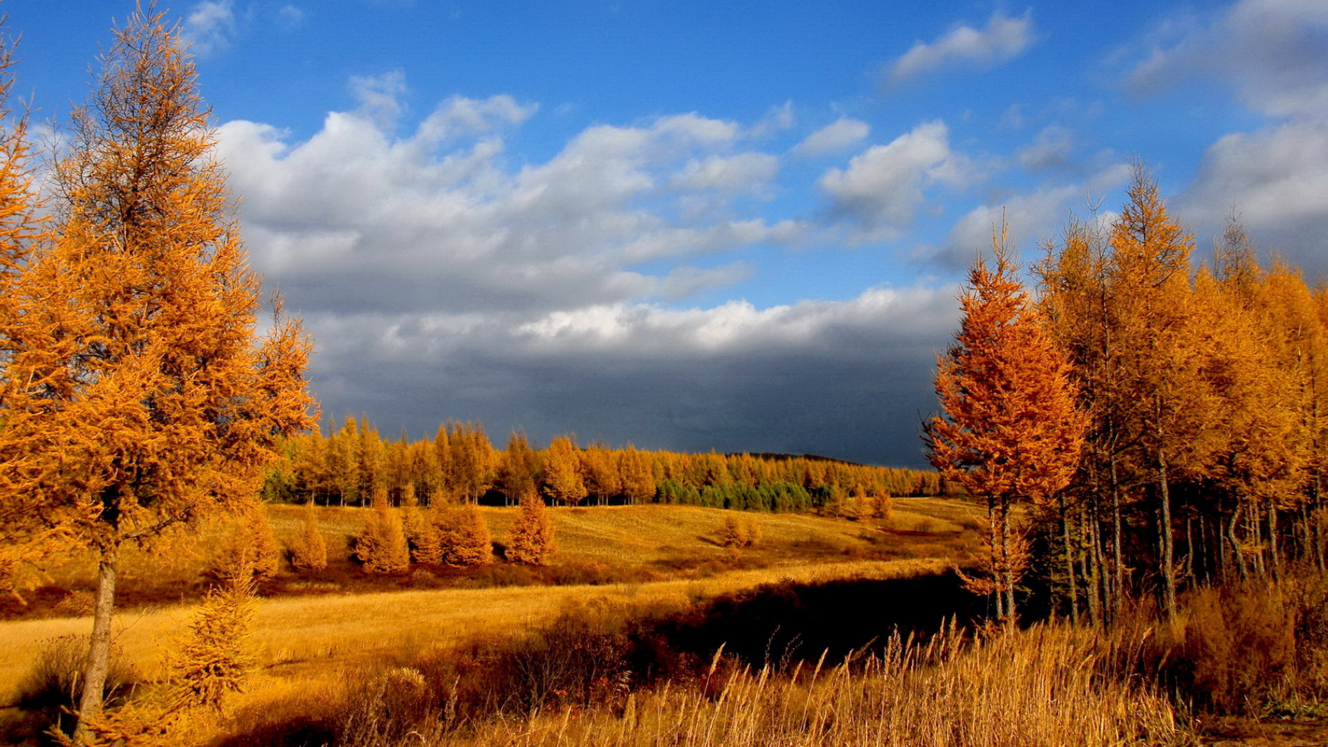 河北承德木兰围场