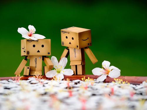 阿楞的美好记忆