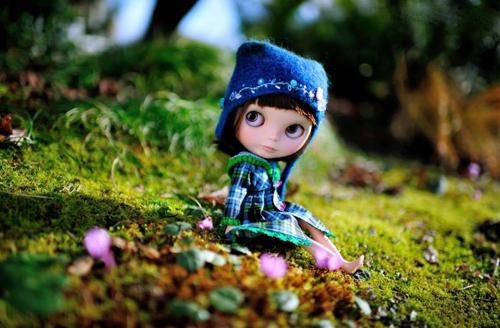 从森林中走出来的芭比