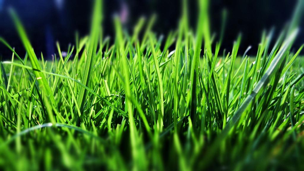 清新大自然健康护眼