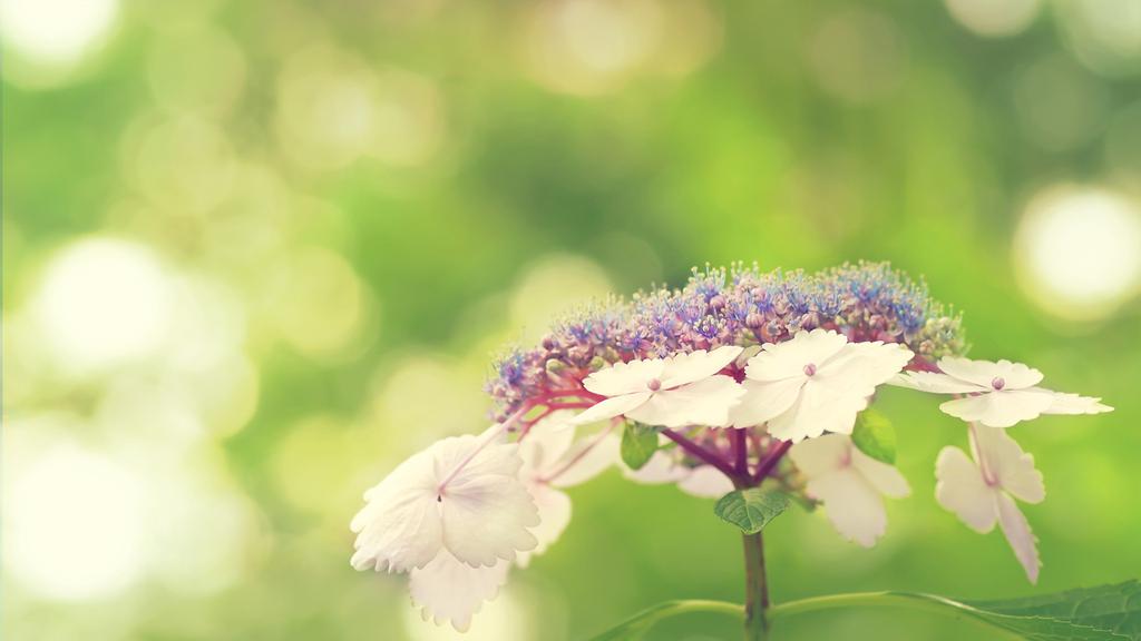 清新大自然健康护眼