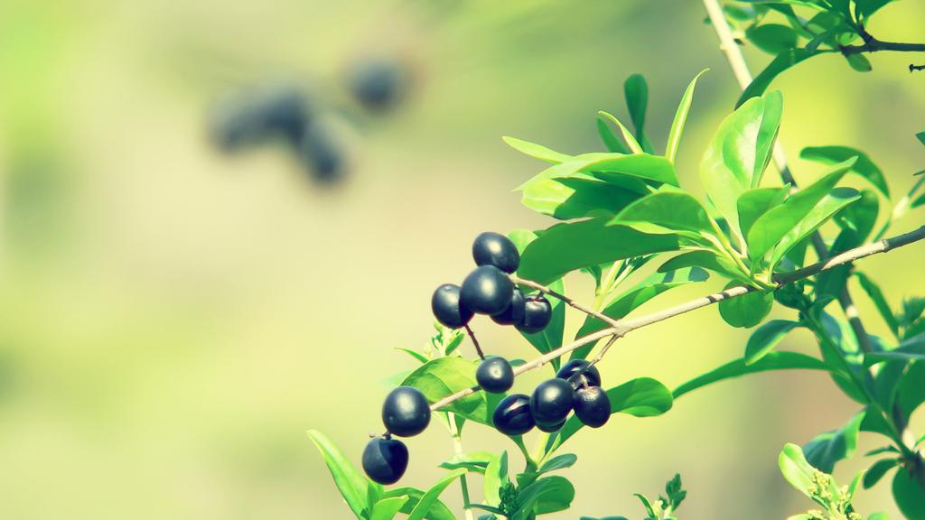 清新大自然健康护眼