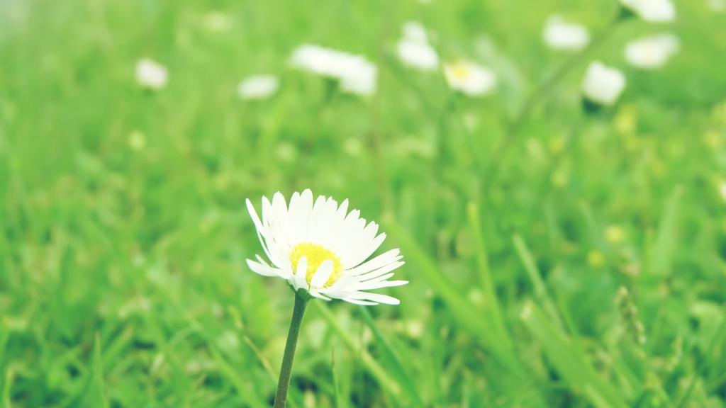 清新大自然健康护眼