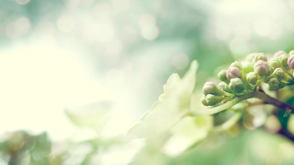 清新大自然健康护眼