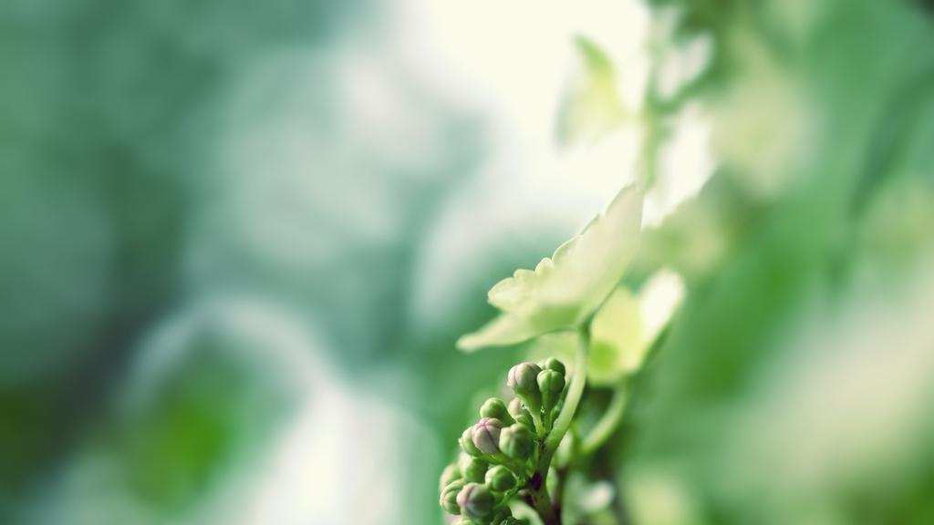 清新大自然健康护眼