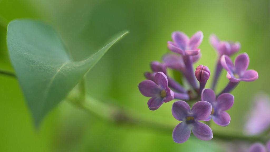 清新大自然健康护眼