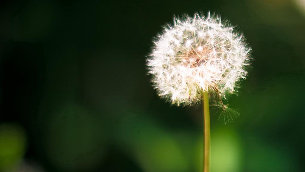 清新大自然健康护眼