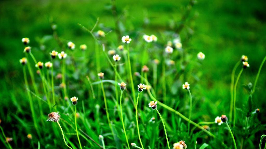 清新大自然健康护眼