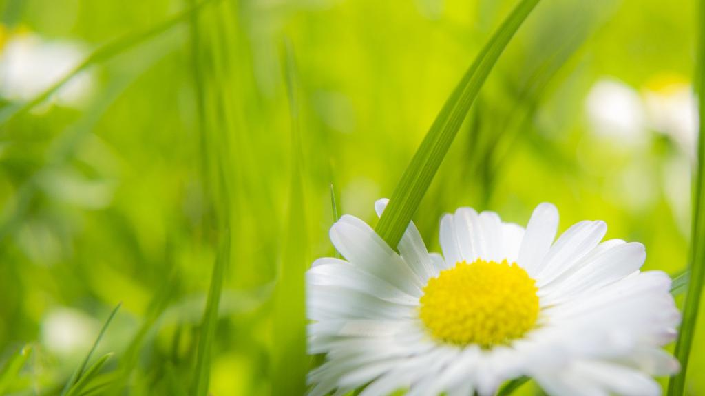 清新大自然健康护眼