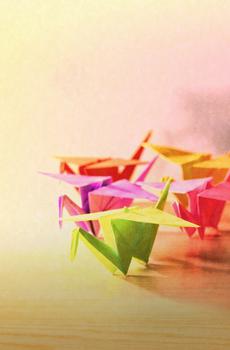 朝思暮想千纸鹤