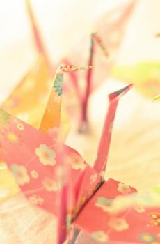 朝思暮想千纸鹤-6