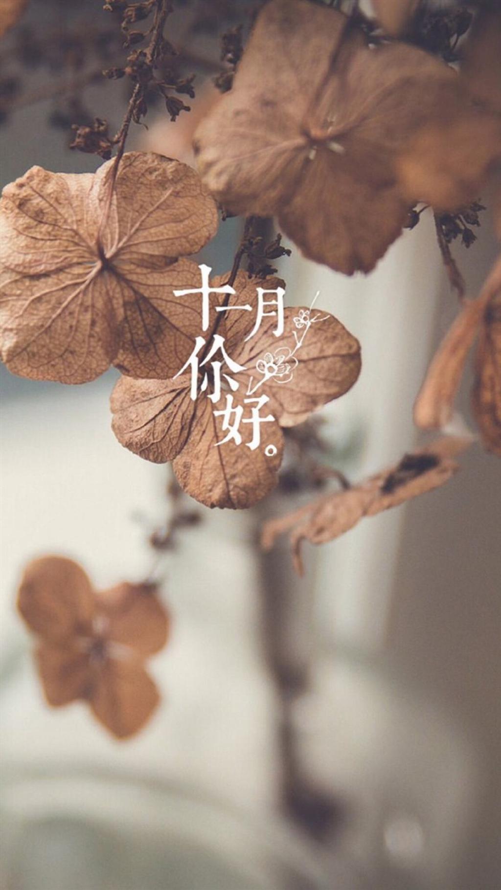 一叶知秋十一月你好