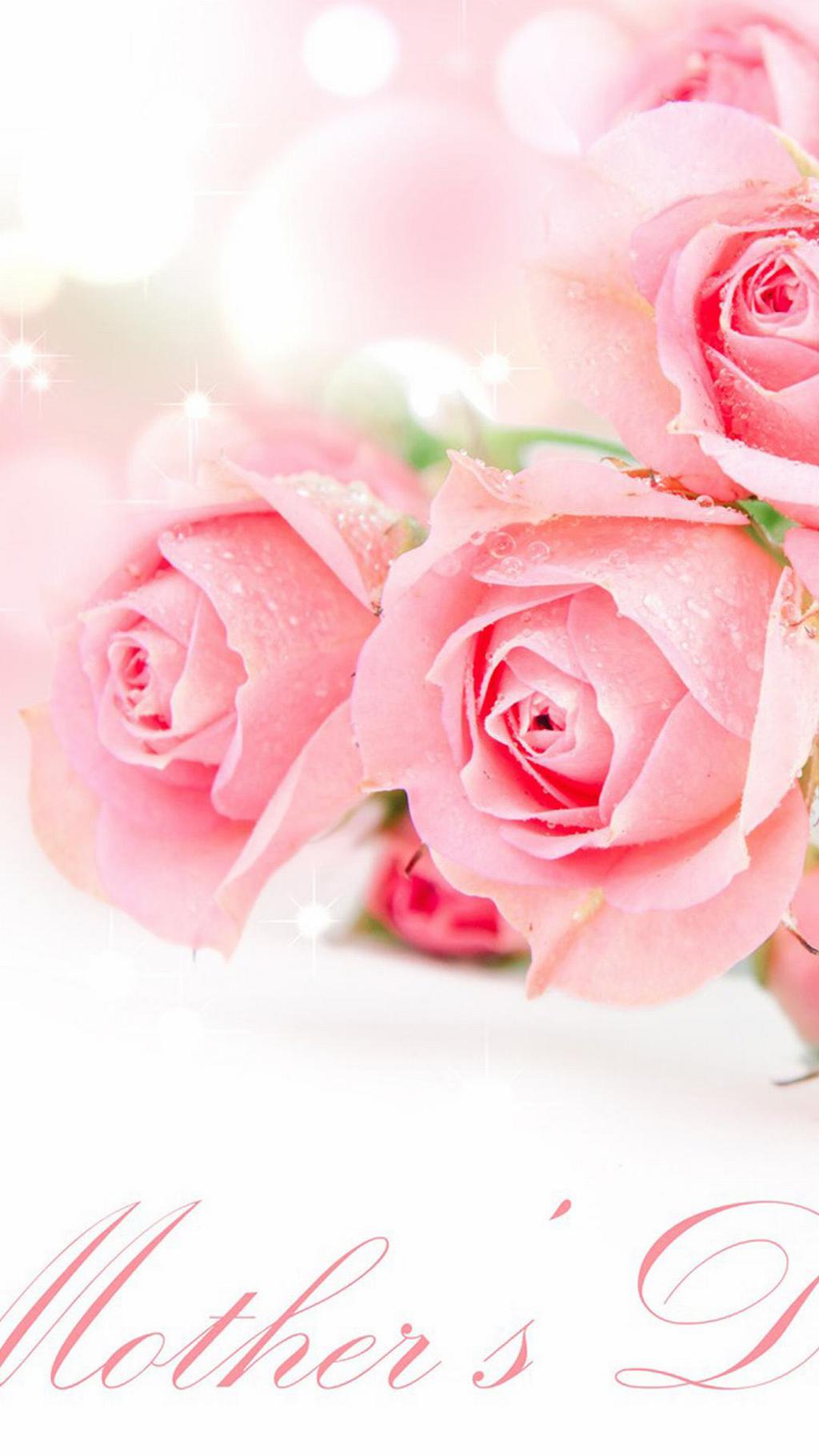 繁花似锦玫瑰花