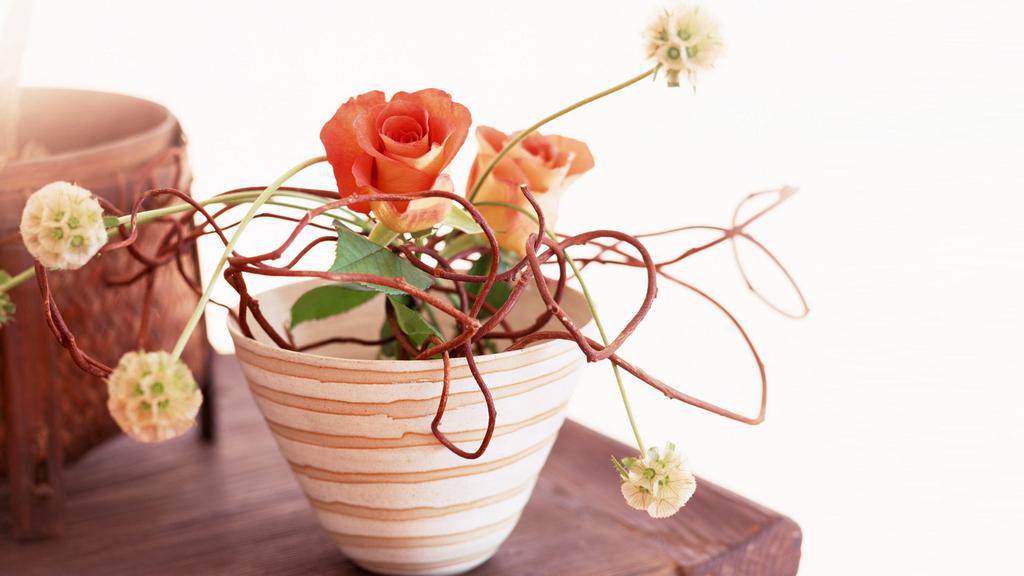 花影摇窗室内景