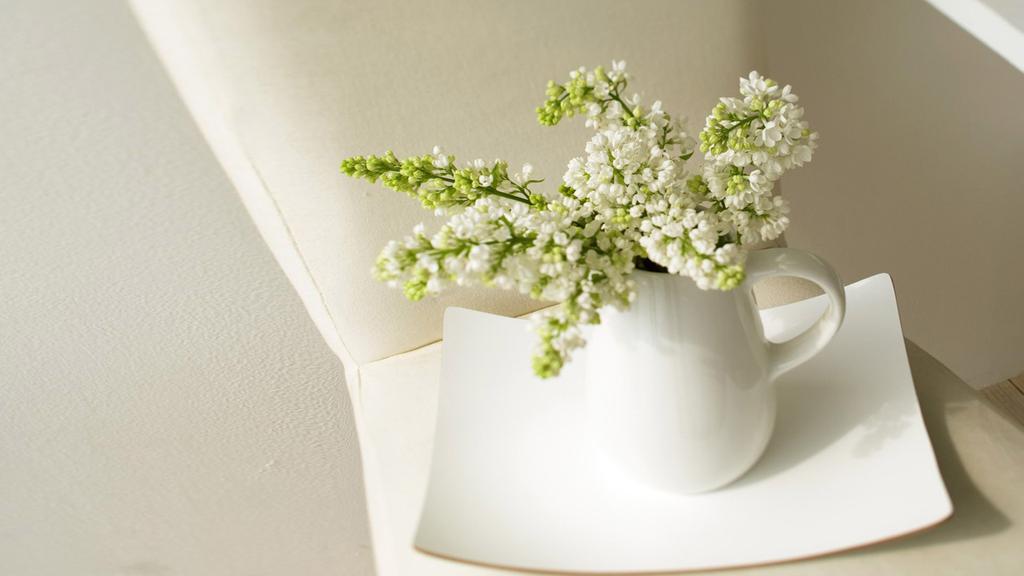 花影摇窗室内景