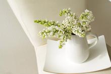 花影摇窗室内景