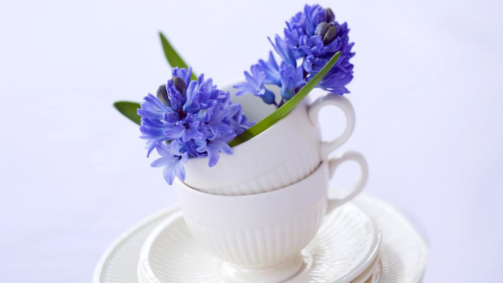 花影摇窗室内景