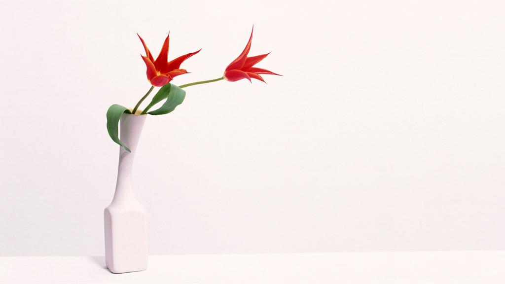 花影摇窗室内景