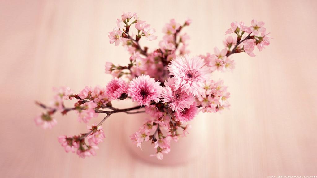 花影摇窗室内景