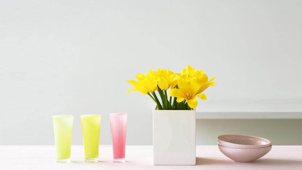 花影摇窗室内景