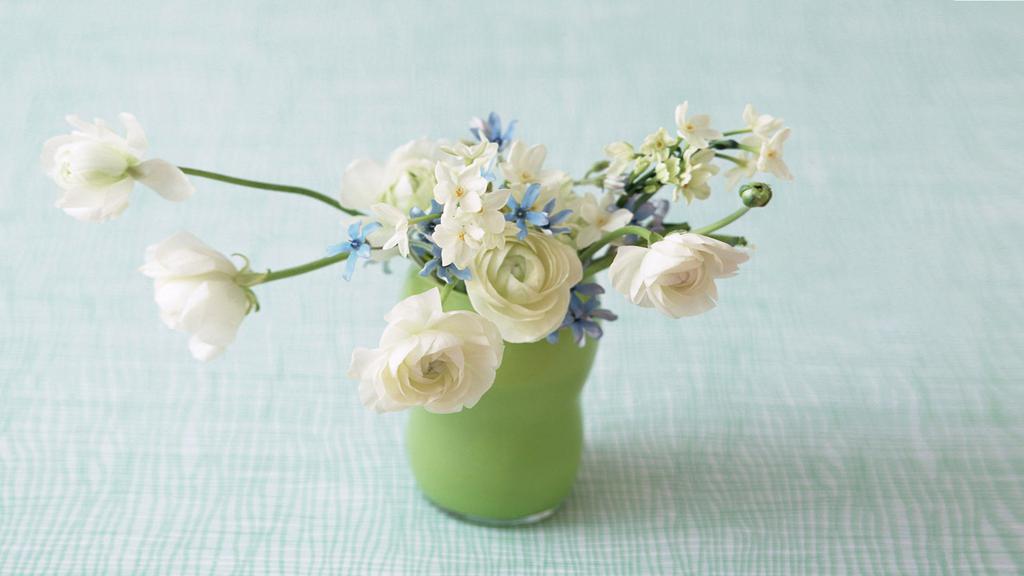 花影摇窗室内景