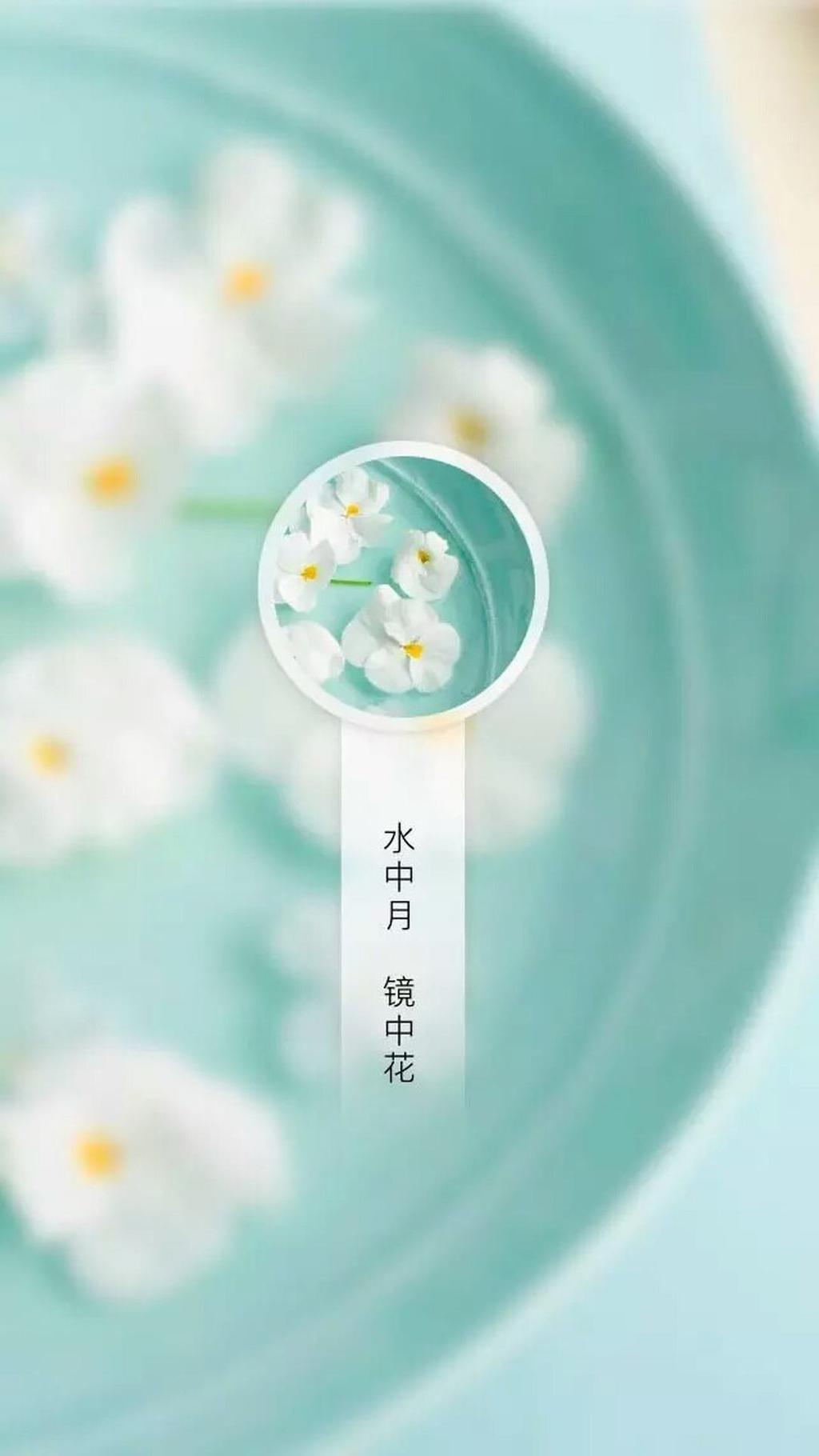 小清新百花齐放