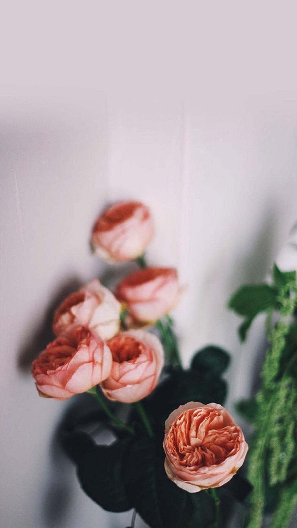 争奇斗艳花儿控