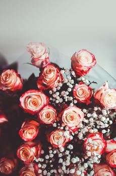 争奇斗艳花儿控