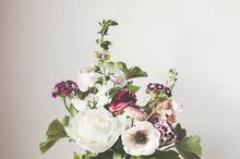 赏心悦目盆栽植物